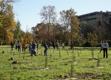 Mediobanca e Mission Bambini uniti per l’ambiente: 500 nuovi alberi a Rozzano