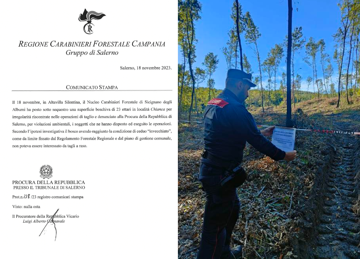 Galleria foto 'Bosco Chianca sequestrato, la Procura blocca tutto: vittoria di affaritaliani' - foto 1