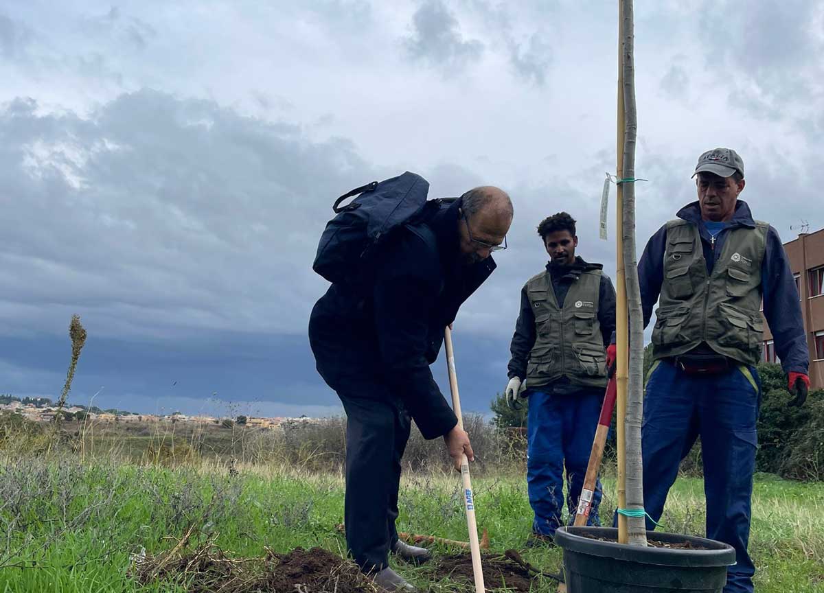 Cento alberi per il Parco del Pineto: Assoutenti si prende cura del verde Cento alberi per il Parco del Pineto: Assoutenti si prende cura del verde