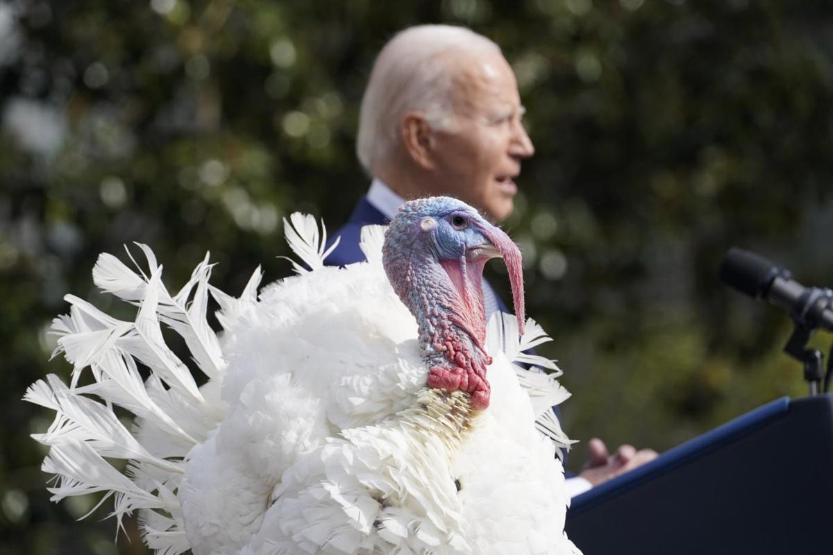 Biden in caduta libera tra gaffe e sondaggi. I Dem tremano: “Troppo vecchio” Biden in caduta libera tra gaffe e sondaggi. I Dem tremano: “Troppo vecchio”