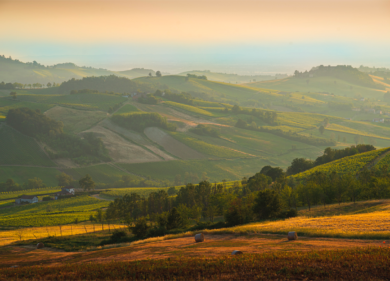 Colline e Oltre cresce ancora: FSVGDA entra nella sua compagine azionaria