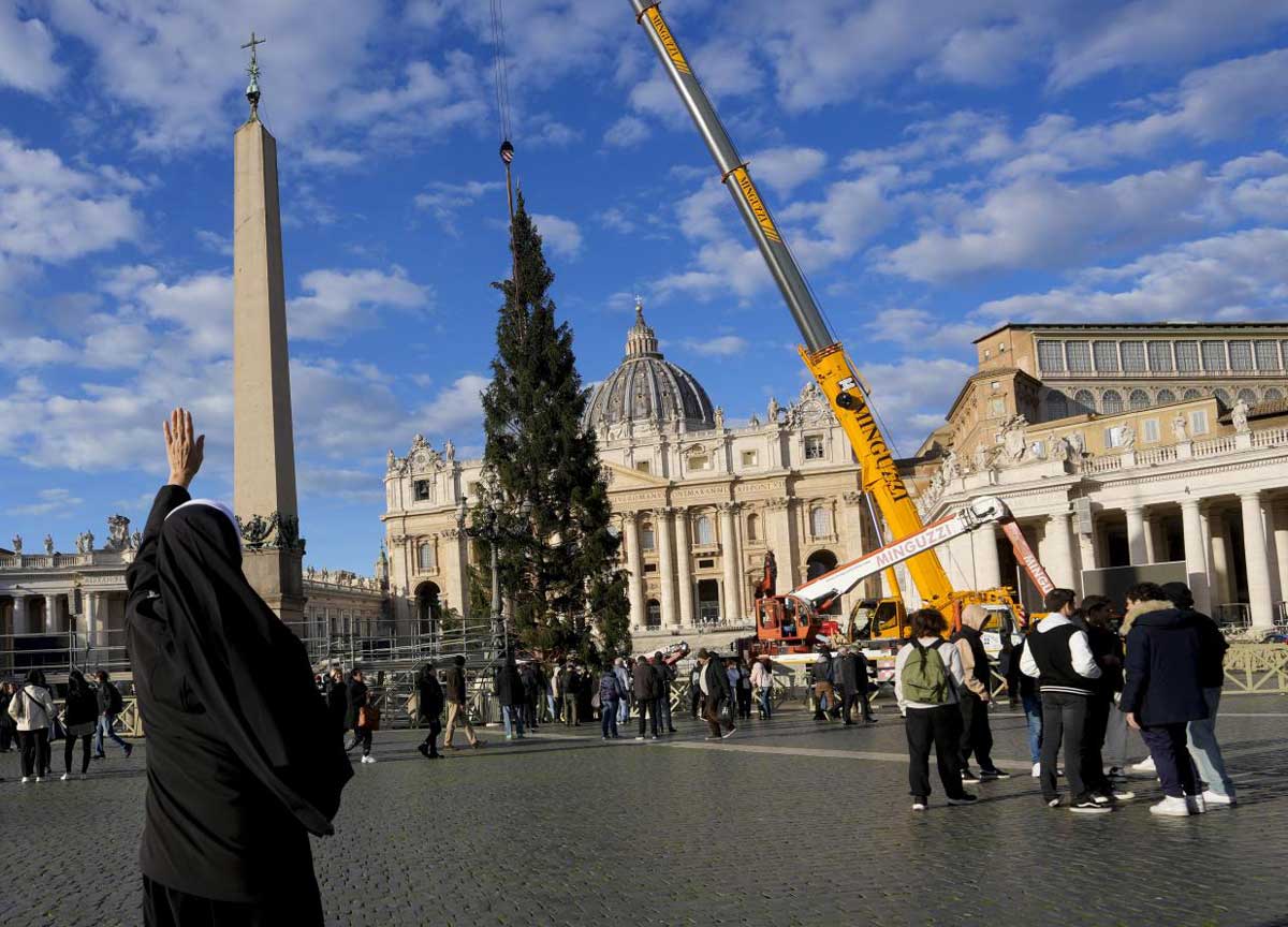 A Piazza San Pietro l’albero di Natale 23. Alto 28 metri viene dal Piemonte A Piazza San Pietro l’albero di Natale 23. Alto 28 metri viene dal Piemonte