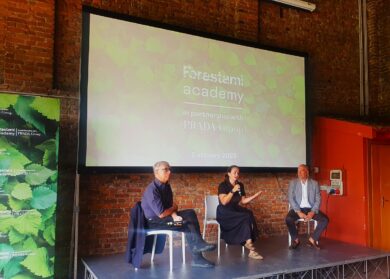 Forestami, superata quota 560 mila nuove piante messe a dimora dal 2018