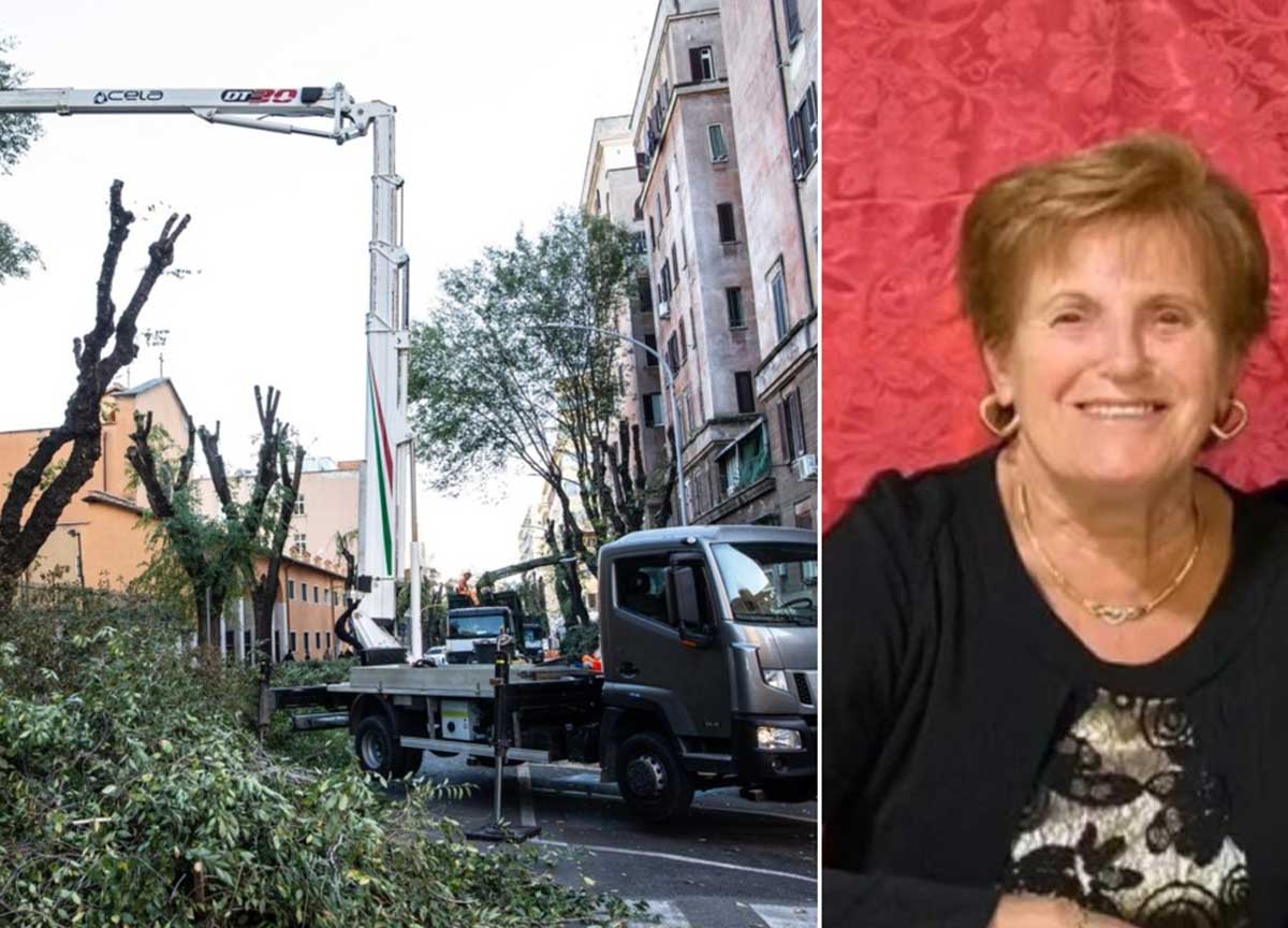 Anziana muore schiacciata dall’albero a Monteverde: lo scivolone dell’Alfonsi