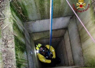 Cane di 70 kg precipita in un pozzo: salvataggio show dei Vigili del fuoco