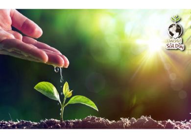 ANBI, prevista intesa in Veneto tra consorzi di bonifica ed agronomi