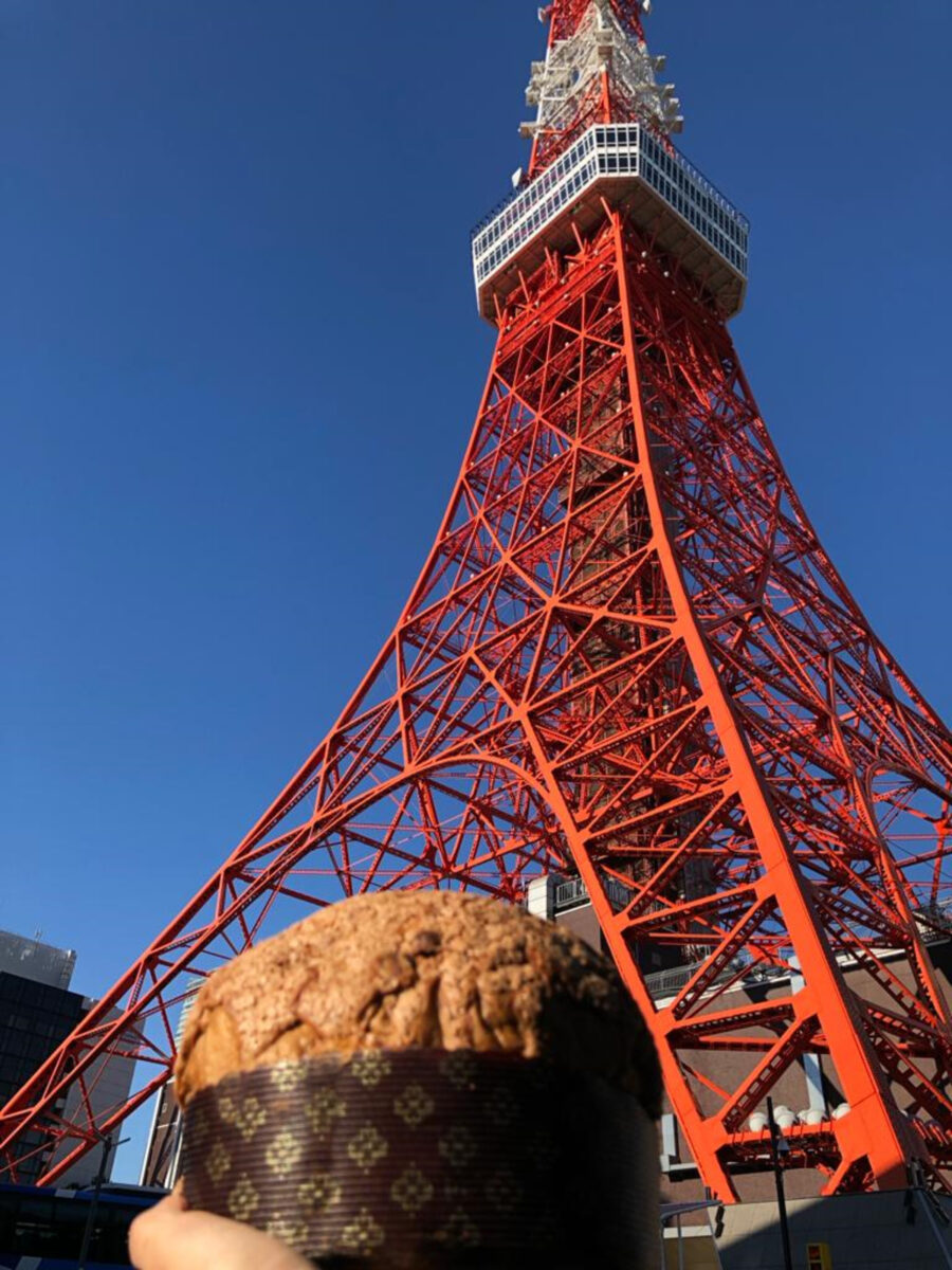 Il panettone conquista il mondo. Dal Giappone al Brasile, fino all’Australia Il panettone conquista il mondo. Dal Giappone al Brasile, fino all’Australia