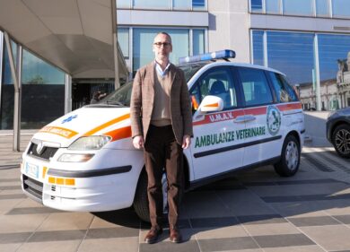 Amici a quattro zampe, in Lombardia interventi e ricoveri a prezzi calmierati