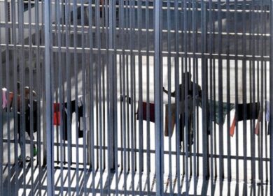 Migranti: a Milano protesta rete “No Cpr” nel giorno degli Ambrogini
