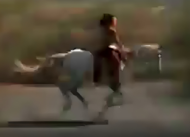 Atreju, il Tg1 celebra la kermesse di FdI con uno spot. Ira del Pd. È bufera