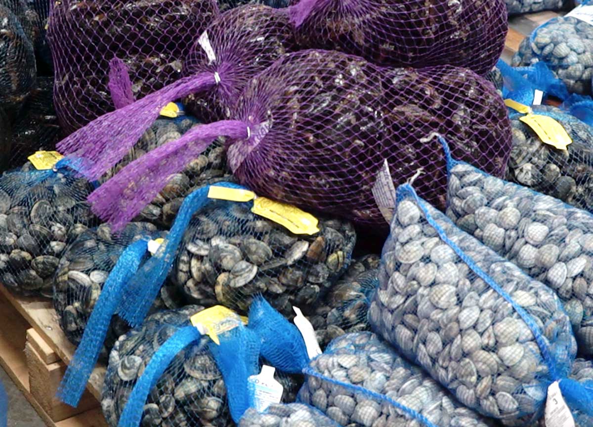 Cenone di Natale: scordatevi le vongole. Effetto Granchio blu, prezzi stellari Cenone di Natale: scordatevi le vongole. Effetto Granchio blu, prezzi stellari