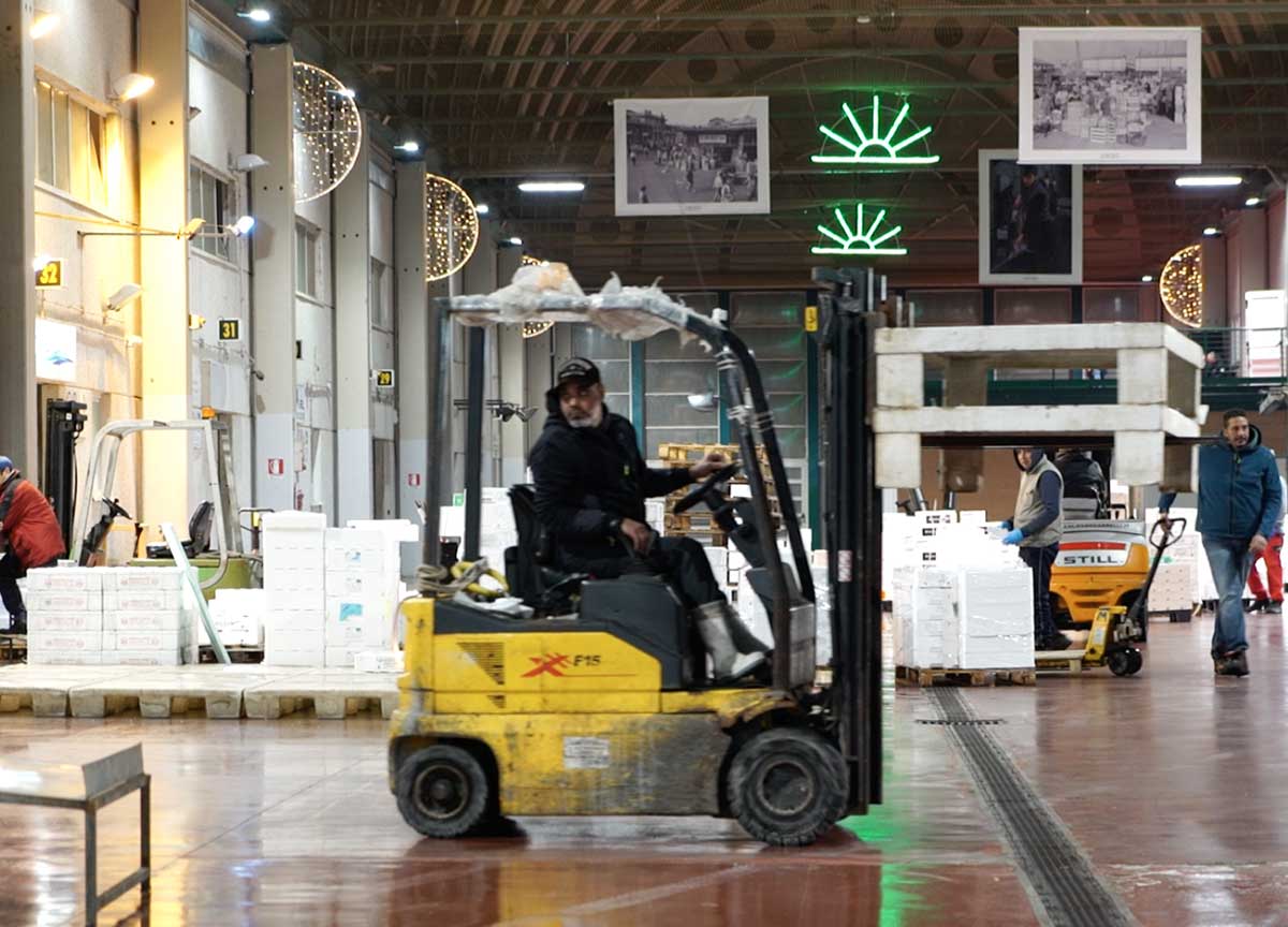 Cenone a base di pesce, risparmiare si può: i grossisti svelano il segreto