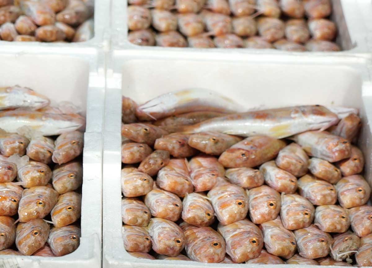 Cenone a base di pesce, risparmiare si può: i grossisti svelano il segreto