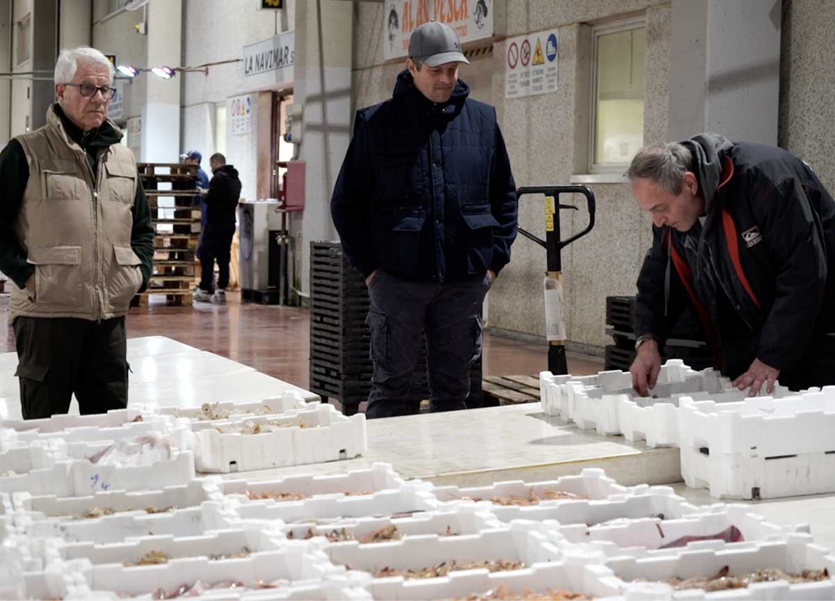 Truffa del pesce fresco: senza controlli rischio batteri e diossine. La guida