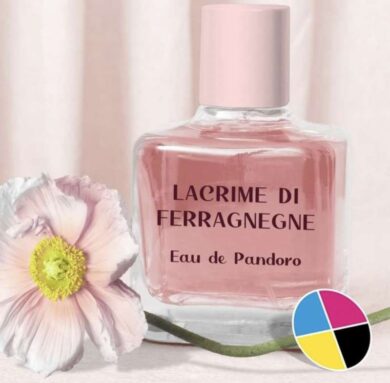 Accuse e meme perfidi: i social imperversano su Ferragni