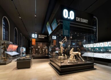 Museo di Storia Naturale, nuova sala sulla storia dell’evoluzione umana. VIDEO