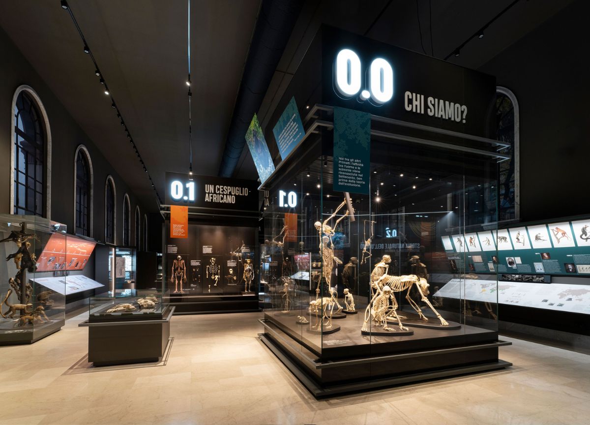 Museo di Storia Naturale, nuova sala sulla storia dell’evoluzione umana. VIDEO Museo di Storia Naturale, nuova sala sulla storia dell’evoluzione umana. VIDEO