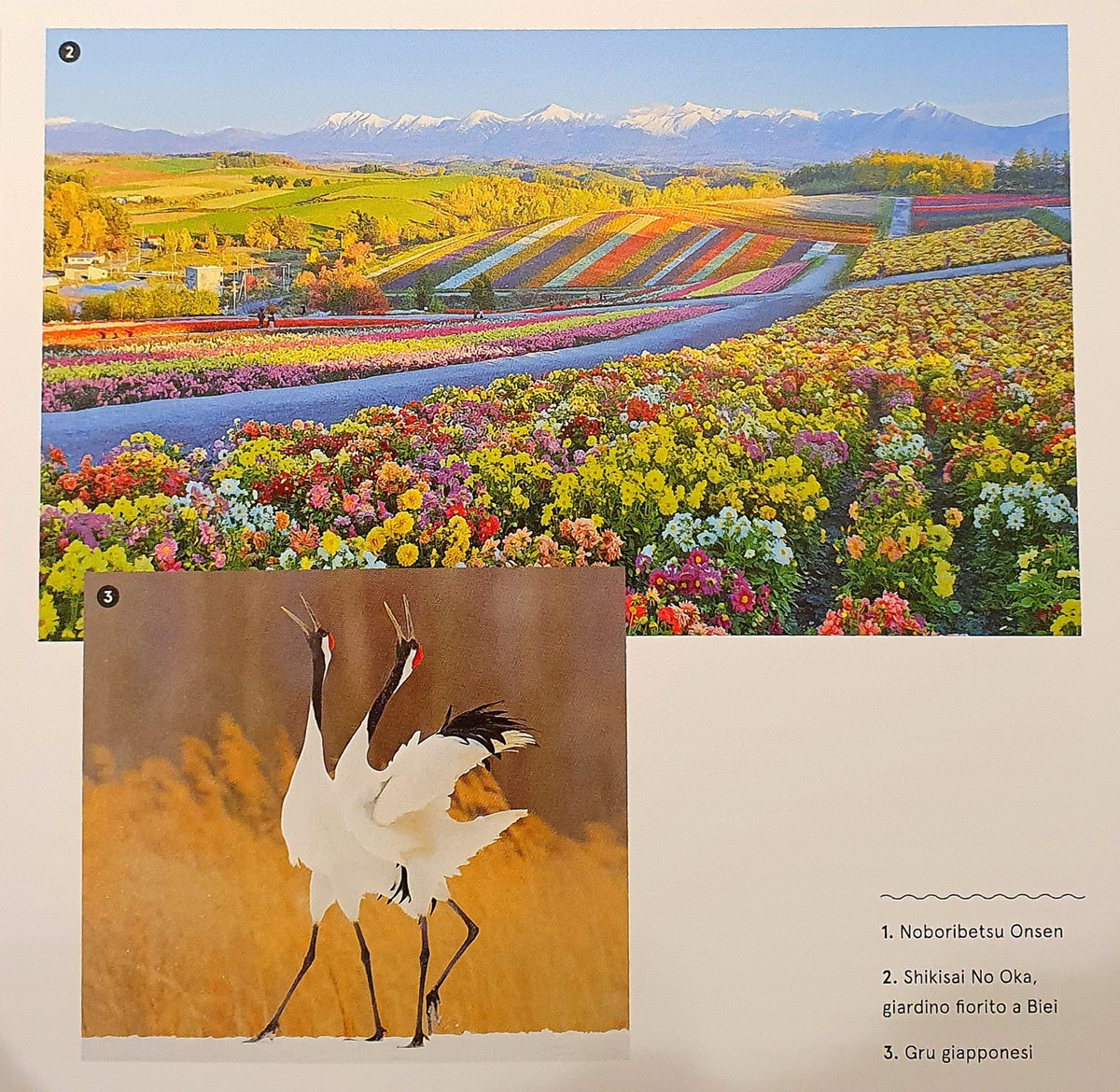 5 titoli Lonely Planet per chi ama viaggiare 5 titoli Lonely Planet per chi ama viaggiare