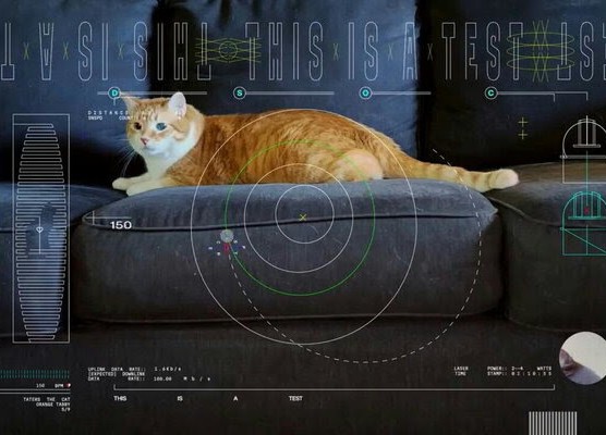 La Nasa invia nello spazio il video di un gatto che gioca. Ecco perchè La Nasa invia nello spazio il video di un gatto che gioca. Ecco perchè