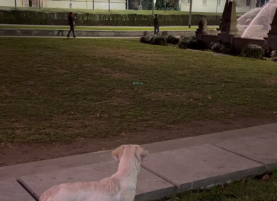 paloma fedez paloma fedez