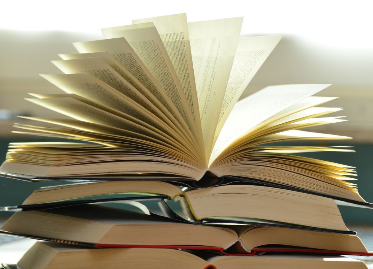 Vannacci, Baiardo ma anche Meloni: ecco i libri più discussi del 2023 Vannacci, Baiardo ma anche Meloni: ecco i libri più discussi del 2023