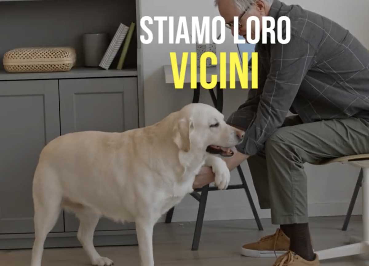 Botti di Capodanno: come proteggere cani e gatti dalla lunga notte di terrore Botti di Capodanno: come proteggere cani e gatti dalla lunga notte di terrore