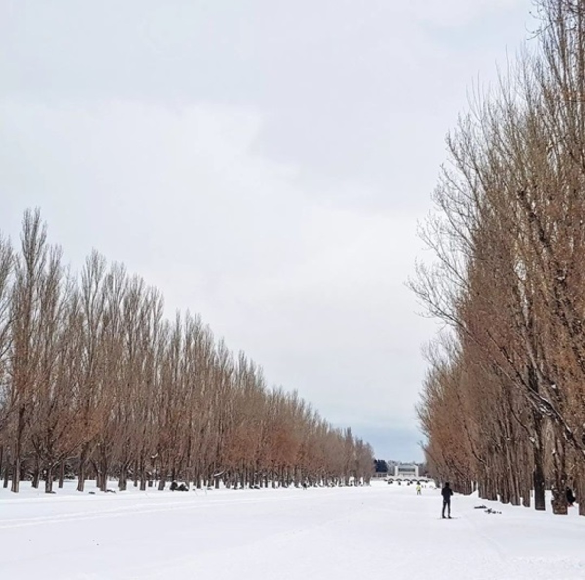 Hokkaido, l’incanto dell’inverno nel nord del Giappone Hokkaido, l’incanto dell’inverno nel nord del Giappone