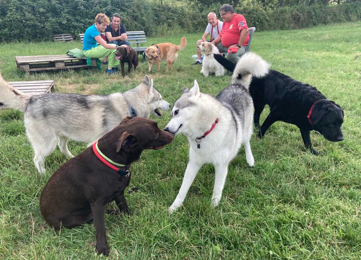 Garante degli animali: bando scaduto da più di un anno, Lega accusa Gualtieri