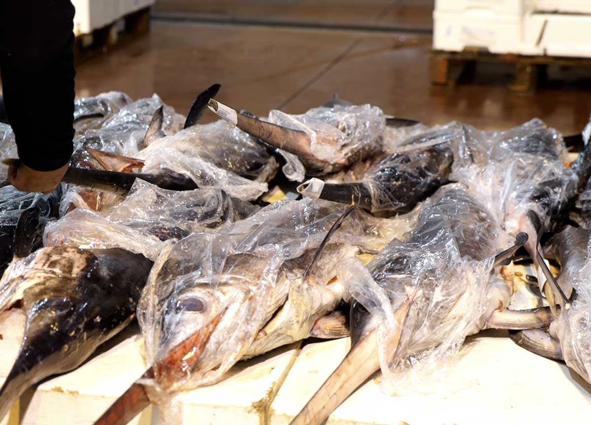 Agroalimentare: il Car di Roma supererà nel 2024 i 2 mld di fatturato: record