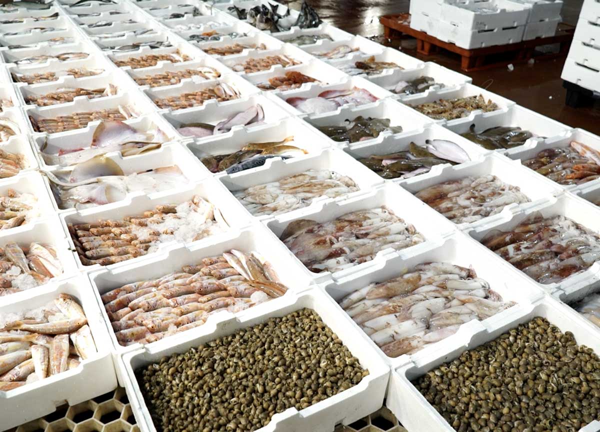 Agroalimentare: il Car di Roma supererà nel 2024 i 2 mld di fatturato: record