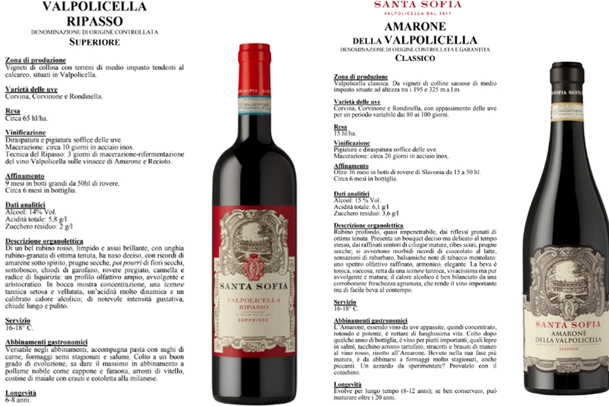 Faida dell’Amarone, lady Allegrini spodestata dai nipoti: “Grande tristezza” Faida dell’Amarone, lady Allegrini spodestata dai nipoti: “Grande tristezza”