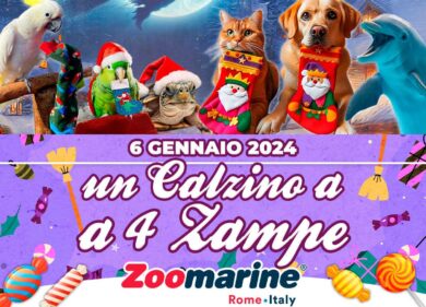 Befana a quattro zampe: a Zoomarine le calzette sono anche pet friendly