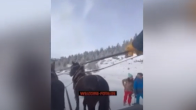 Cavalli usati per trainare gli sciatori vanno fuori controllo: attimi di paura