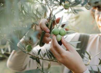 Truffa dell’extravergine: chef Ruffi spiega come fare l’olio fake in casa