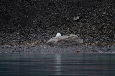 Banca Generali con ELIS per portare nelle scuole le sfide della sostenibilità
