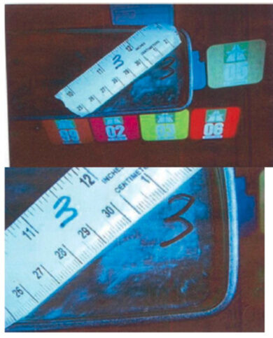 Strage di Erba: “La macchia di sangue nell’auto dei Romano? Non è una prova”