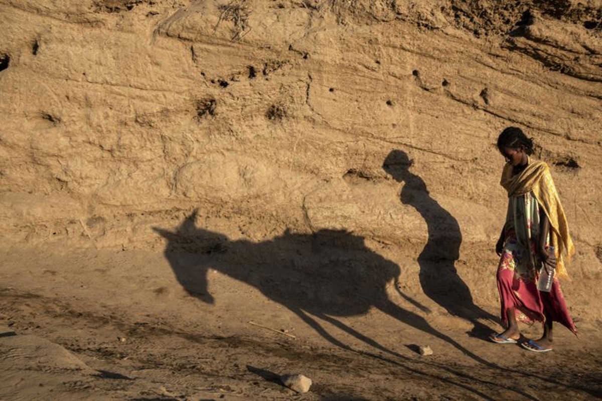 I ricchi vogliono più tasse, mossa solidale per salvare il mondo dalla miseria I ricchi vogliono più tasse, mossa solidale per salvare il mondo dalla miseria