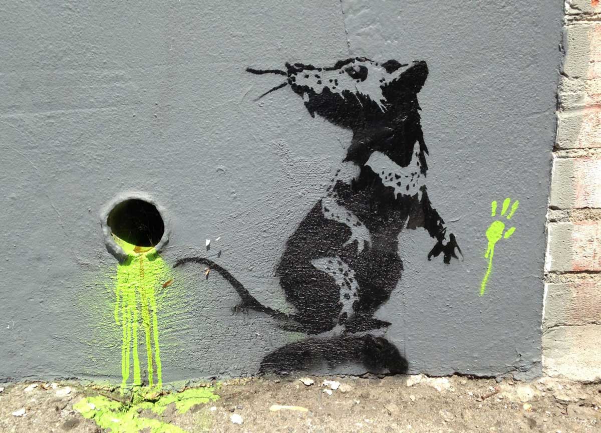Bansky, re della street art: chi è veramente. Svelato il mistero in musica Bansky, re della street art: chi è veramente. Svelato il mistero in musica