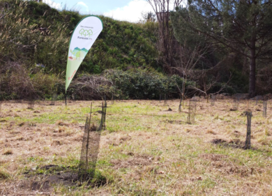 Forestazione, Intesa Sanpaolo: arriva a Napoli il progetto “Think Forestry”