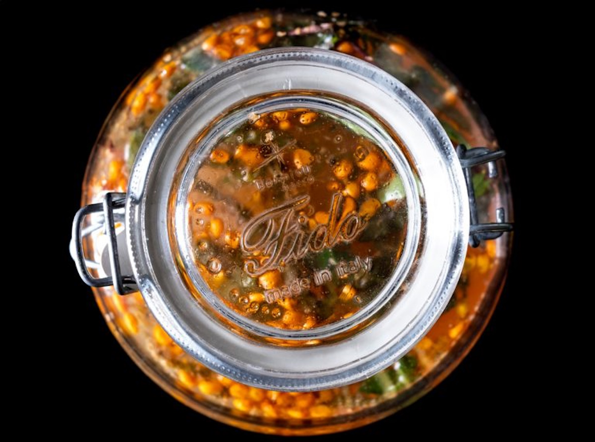 Kombucha, le 8 innovative da non perdere: al caffè, frutta ed erbe spontanee