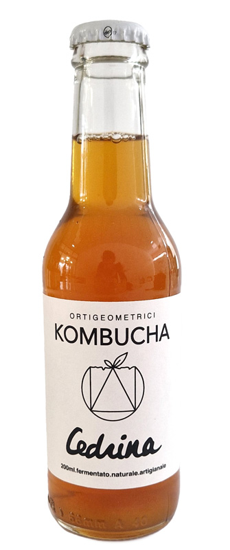 Kombucha, le 8 innovative da non perdere: al caffè, frutta ed erbe spontanee