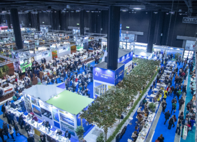BIT 2024, Nicolaus cresce ancora: focus sul turismo nazionale