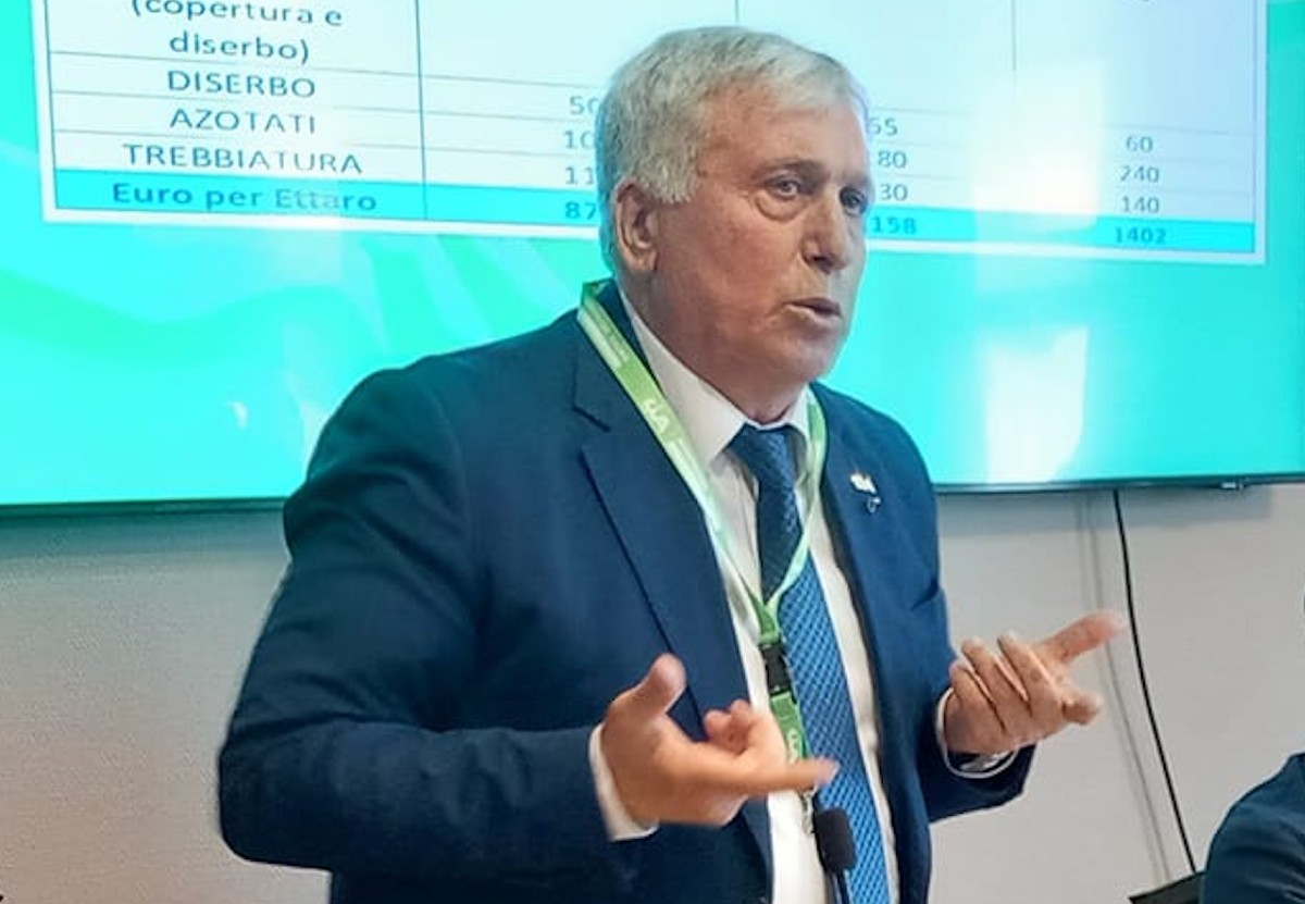 Tir carichi di grano straniero in Puglia, ira degli agricoltori a Manfredonia Tir carichi di grano straniero in Puglia, ira degli agricoltori a Manfredonia