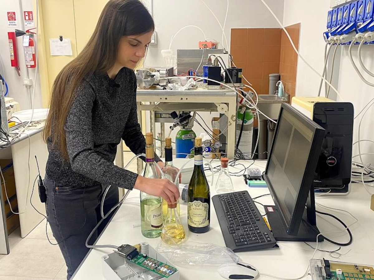 Addio sommelier, un naso elettronico riconosce il falso vino Addio sommelier, un naso elettronico riconosce il falso vino