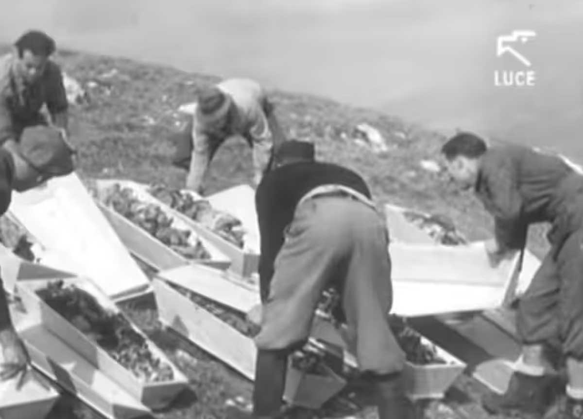 Le Foibe ed esuli: l’indagine storica in un romanzo noir: “Eredità colpevole”