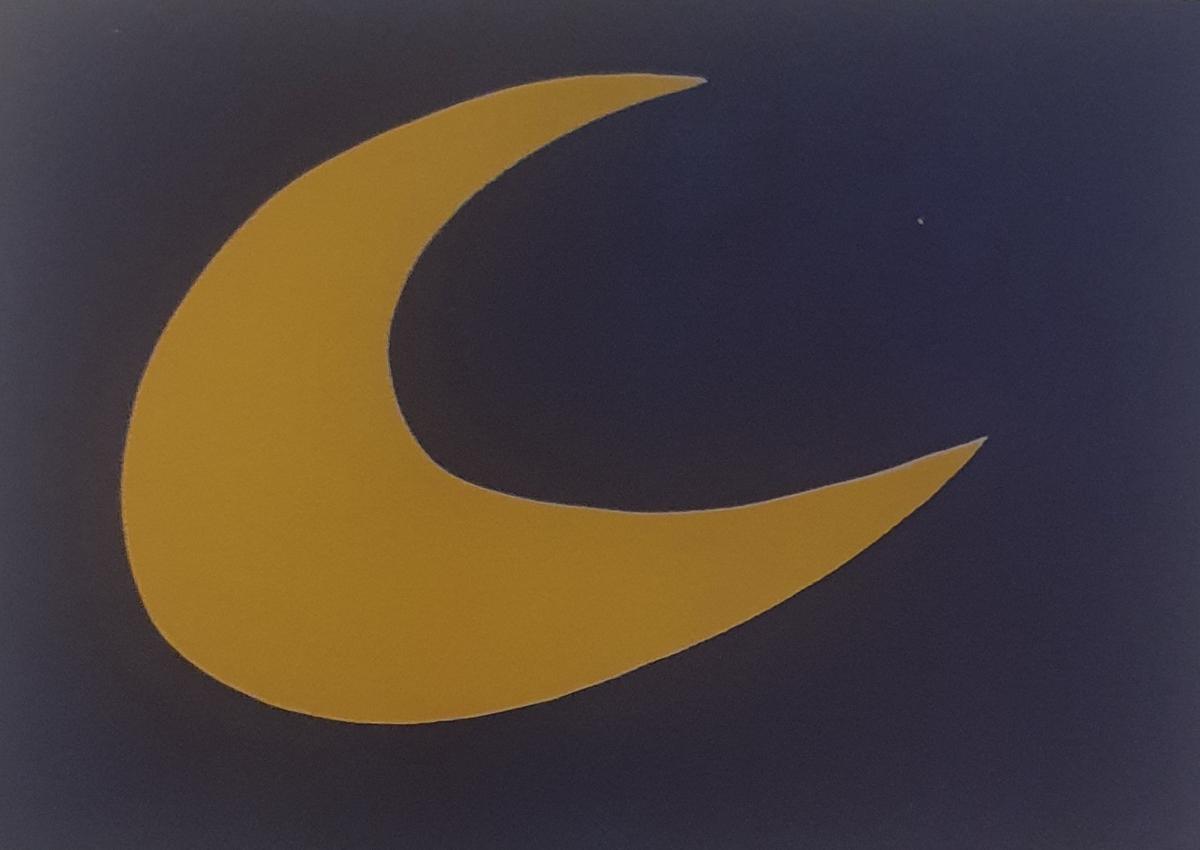 Joan Mirò alla Villa Reale di Monza 05