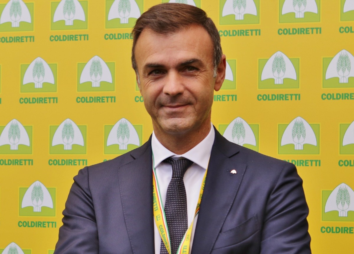 Trattori a Roma giovedì, ma divisi. Si complica la vita di Mr. Coldiretti Trattori a Roma giovedì, ma divisi. Si complica la vita di Mr. Coldiretti