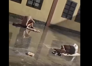 Milano, migranti nudi sotto la pioggia nel Cpr di Via Corelli: la protesta