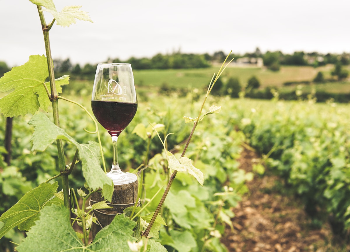 I grandi vini potrebbero scomparire, ma non è solo colpa del clima I grandi vini potrebbero scomparire, ma non è solo colpa del clima