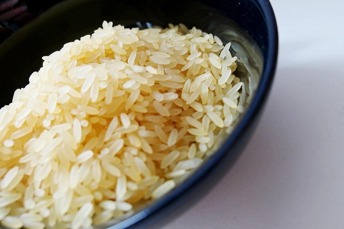 Cibo sintetico, gli scienziati creano in laboratorio il riso ibrido di manzo Cibo sintetico, gli scienziati creano in laboratorio il riso ibrido di manzo